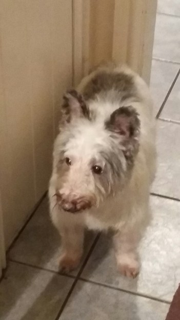 20160131_192823.jpg image